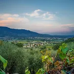 Villa Apartment In Lucca Near Guinigi Tower *